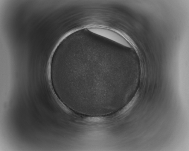 X0000099571246200805301534