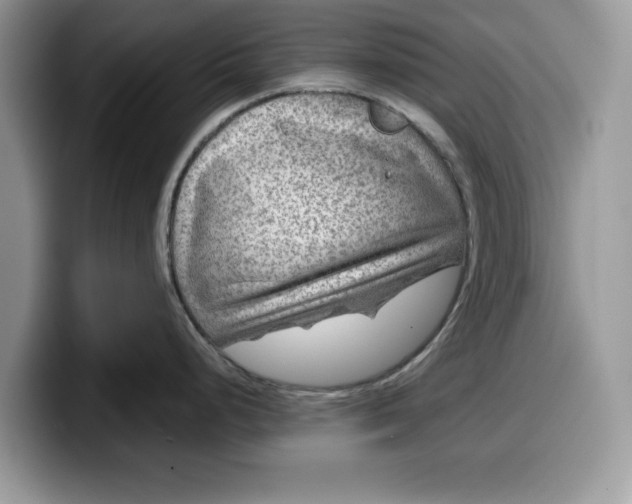 X0000099571248200805301534