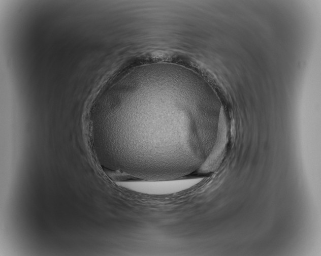 X0000099571249200805301534