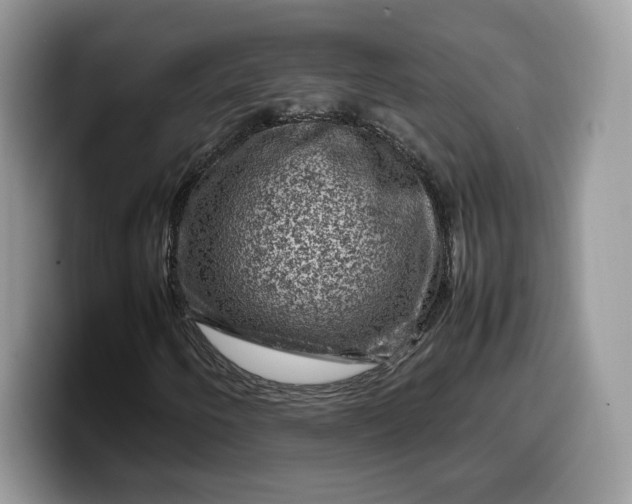 X0000099571250200805301534