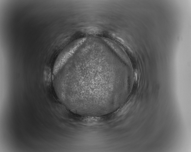 X0000099571251200805301534