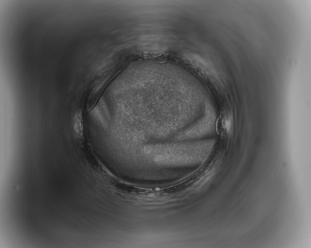 X0000099571252200805301534