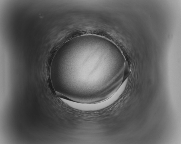 X0000099571253200805301534
