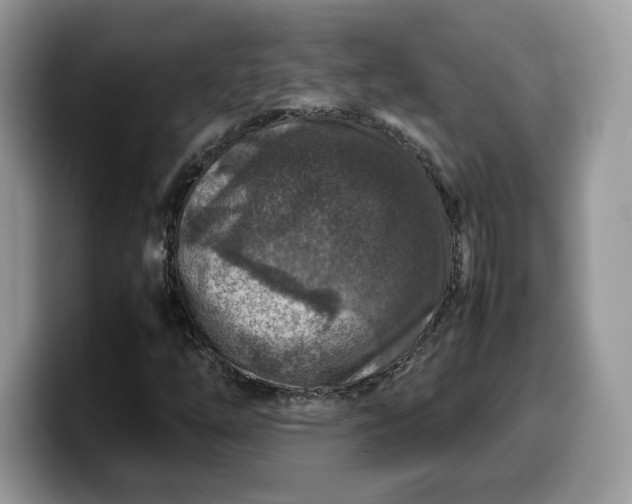 X0000099571254200805301534