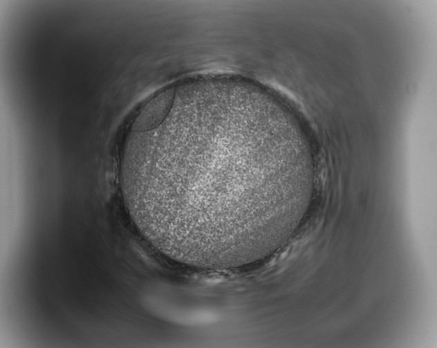 X0000099571255200805301534