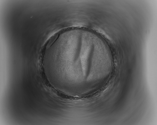 X0000099571256200805301534