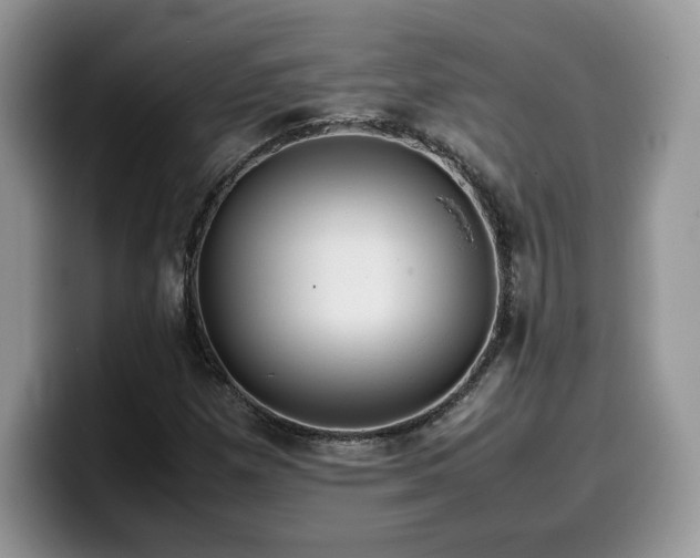X0000099571257200805301534
