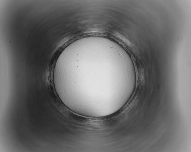 X0000099571258200805301534
