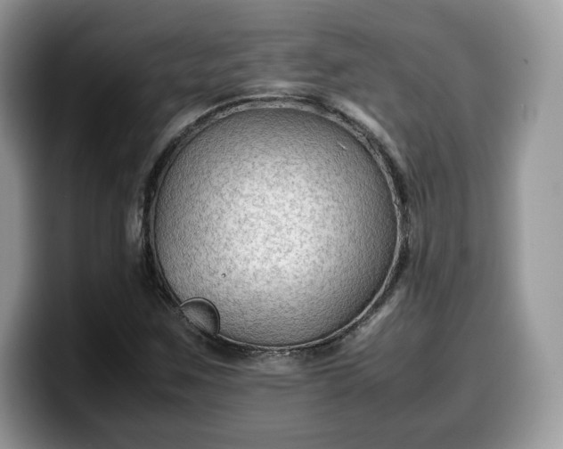 X0000099571259200805301534