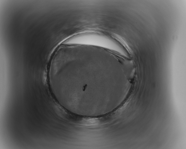 X0000099571260200805301534