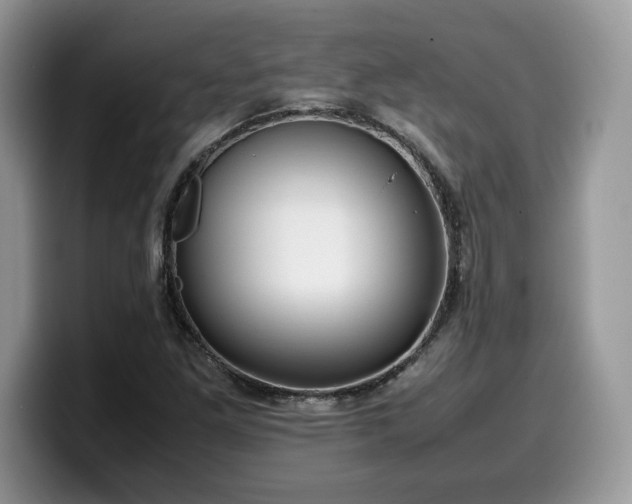 X0000099571261200805301534