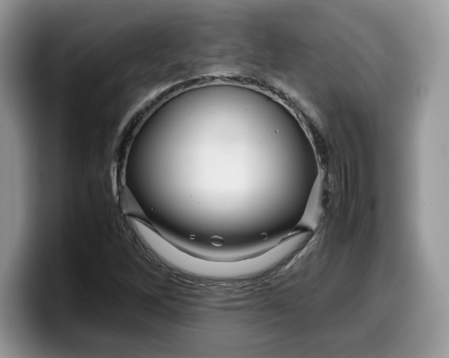 X0000099571262200805301534