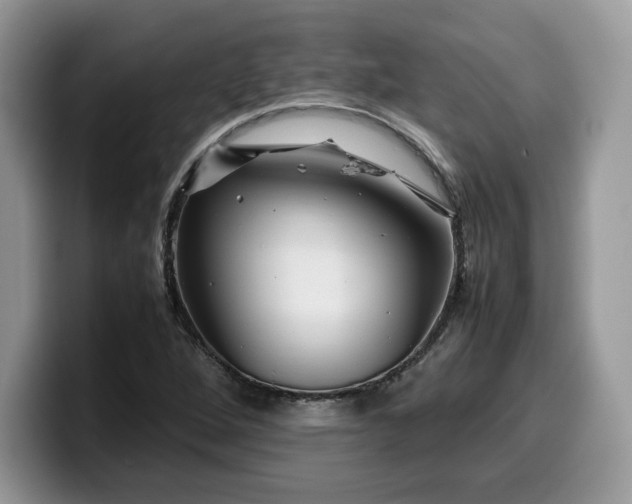 X0000099571264200805301533