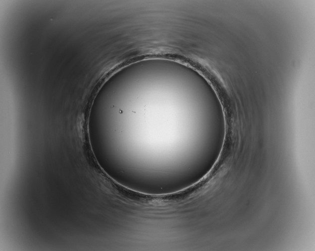 X0000099571265200805301533