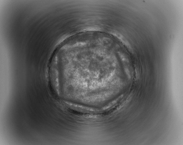 X0000099571266200805301533