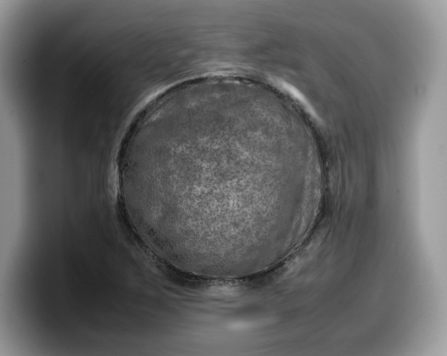 X0000099571267200805301533