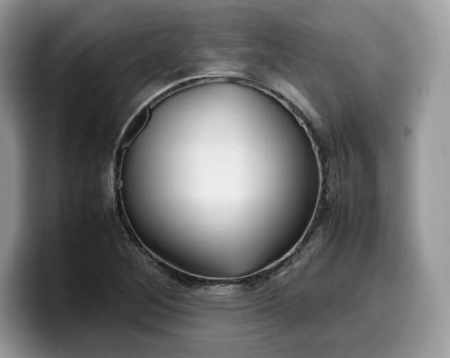 X0000099571268200805301533