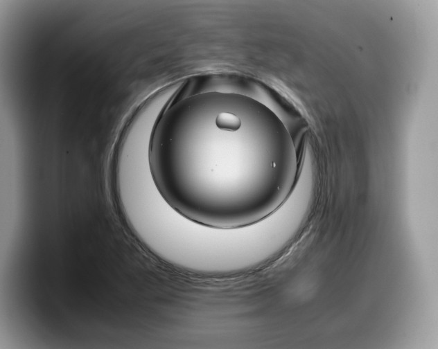 X0000099571269200805301533