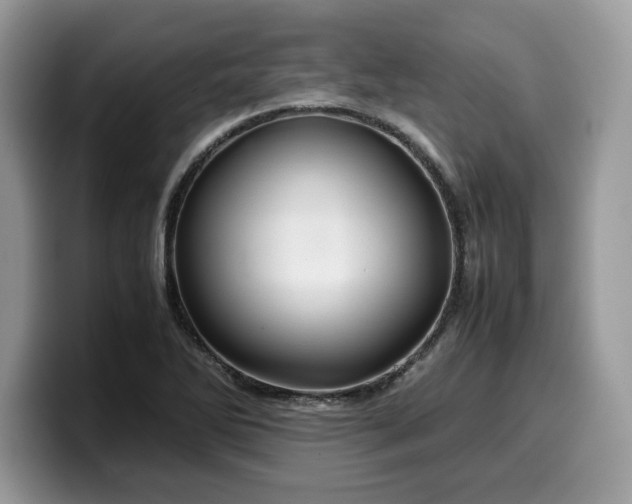 X0000099571270200805301533