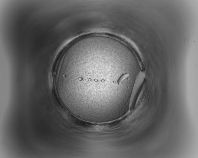 X0000099571271200805301533