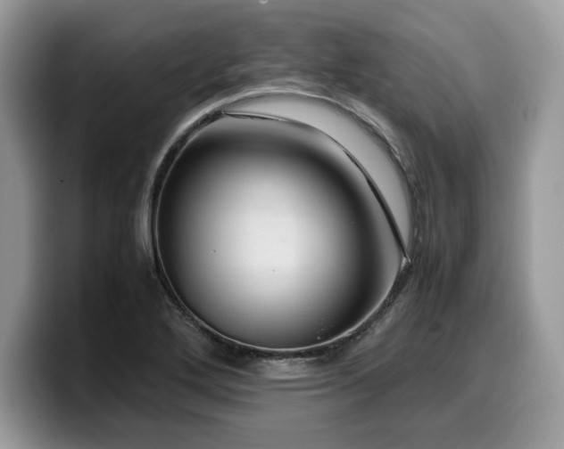 X0000099571272200805301533