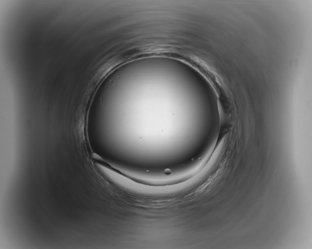 X0000099571273200805301533