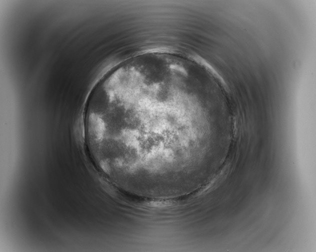X0000099571274200805301533