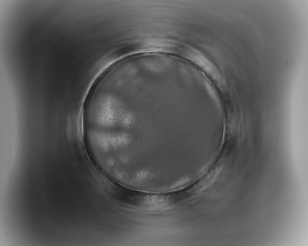 X0000099571275200805301533
