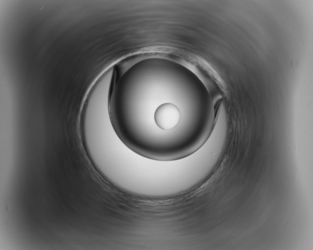 X0000099571276200805301533
