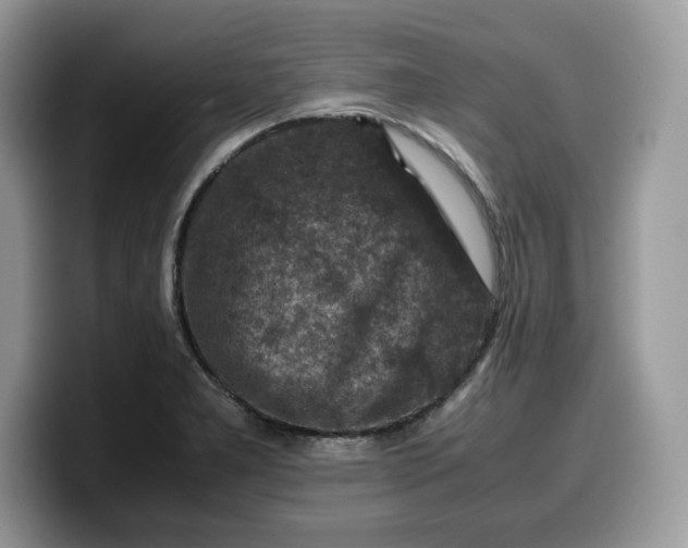 X0000099571277200805301533