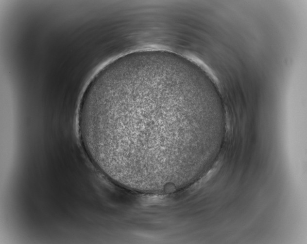 X0000099571278200805301533