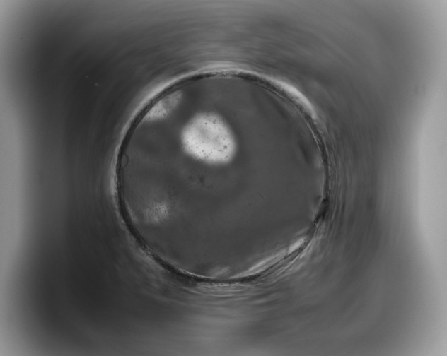 X0000099571279200805301533