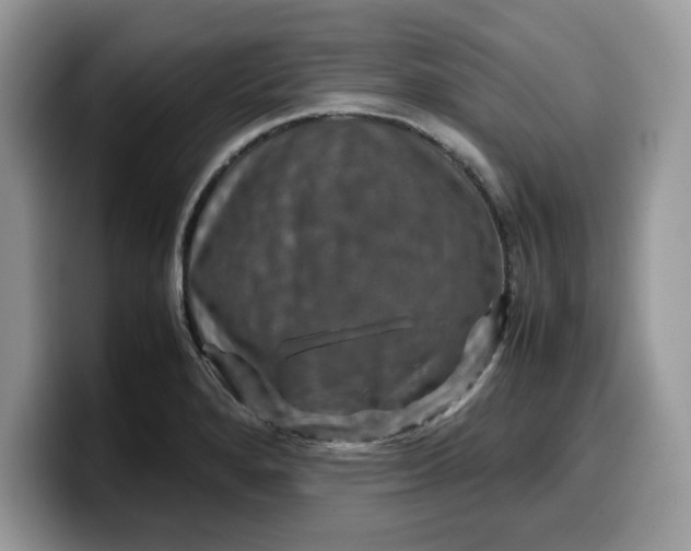 X0000099571280200805301533