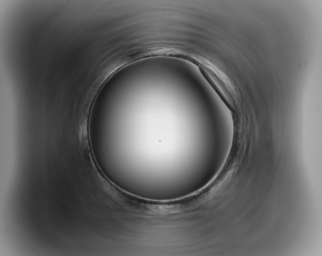 X0000099571281200805301533
