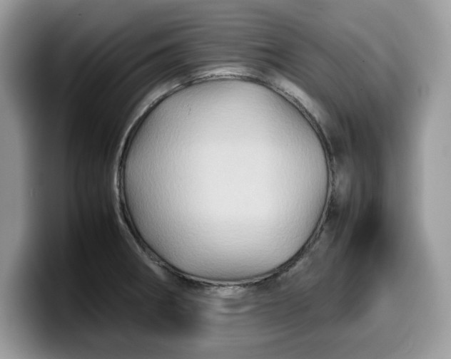 X0000099571282200805301533