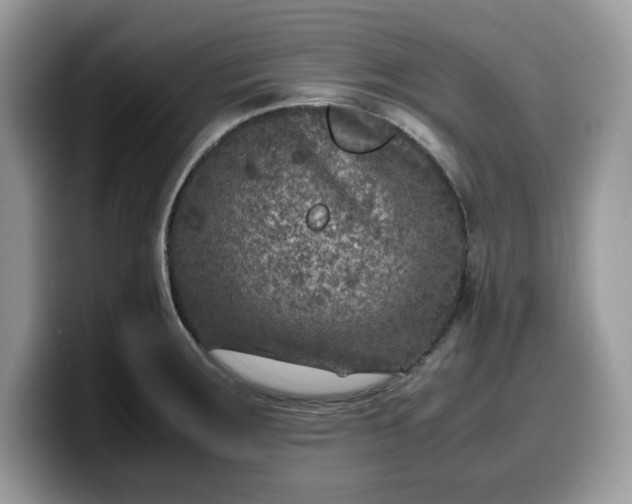 X0000099571283200805301533