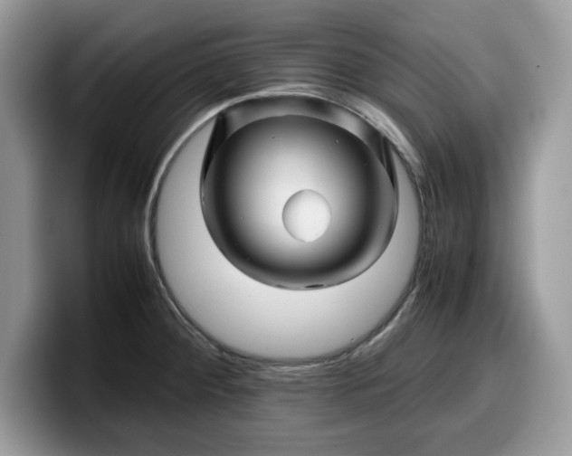 X0000099571284200805301533