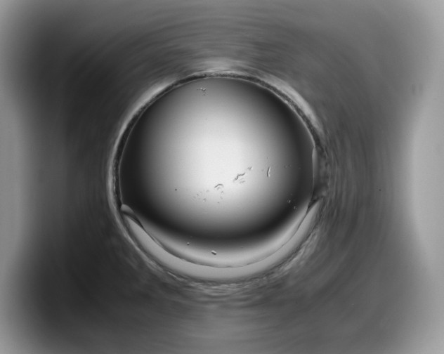 X0000099571285200805301533
