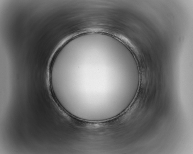 X0000099571286200805301533
