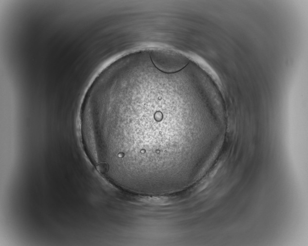 X0000099571287200805301533