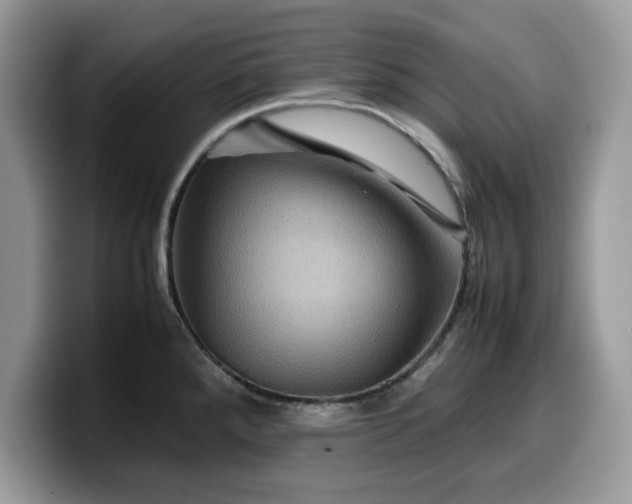 X0000099571288200805301533