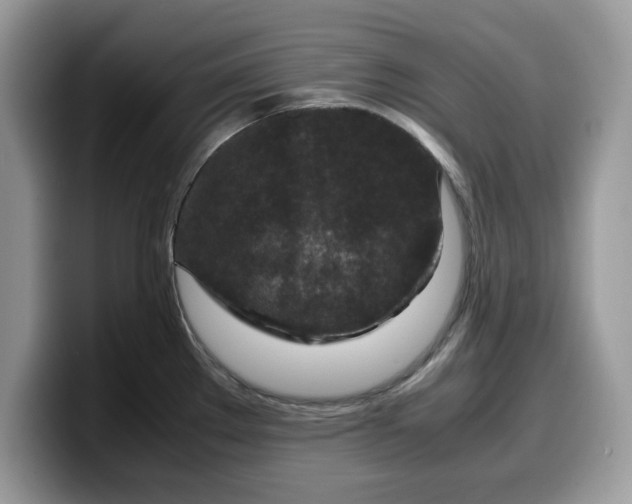 X0000099571289200805301533