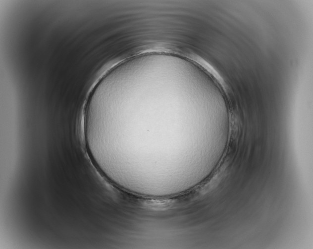 X0000099571290200805301533