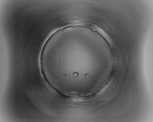 X0000099571291200805301533