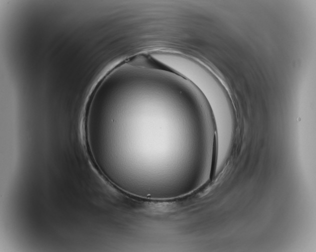 X0000099571293200805301533