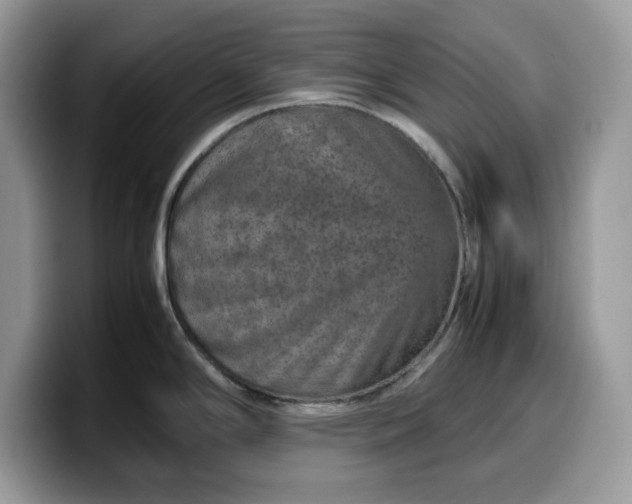 X0000099571294200805301533