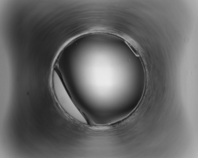 X0000099571296200805301533