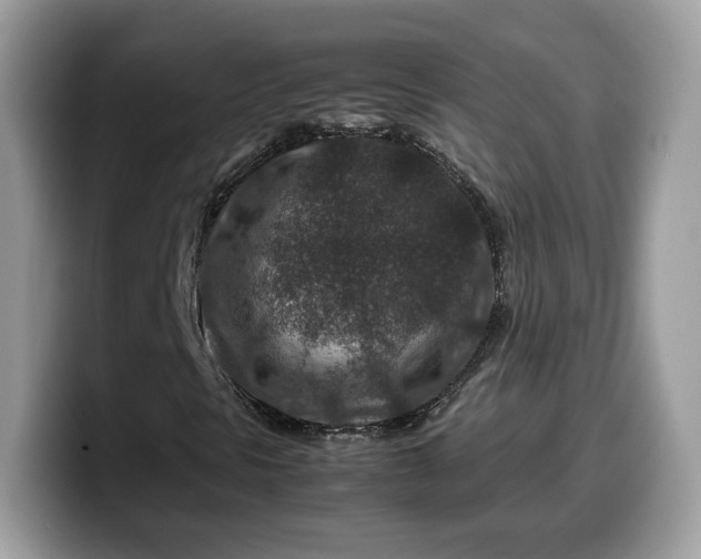 X0000099571297200805301532