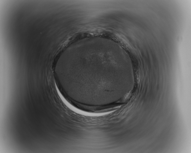 X0000099571298200805301532