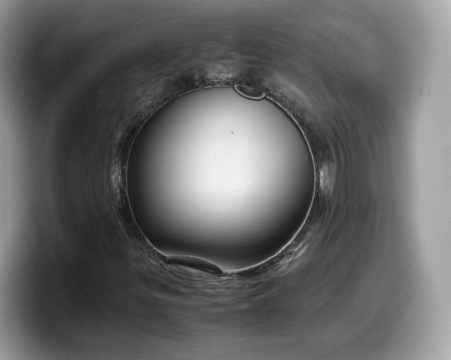 X0000099571299200805301533